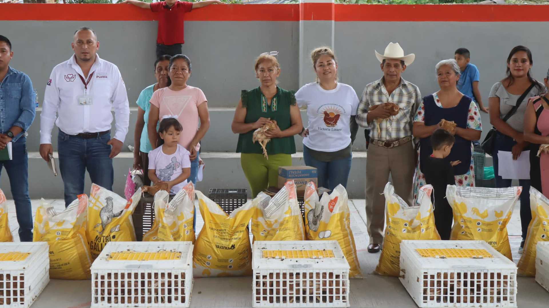 Módulos Avícolas Familiares